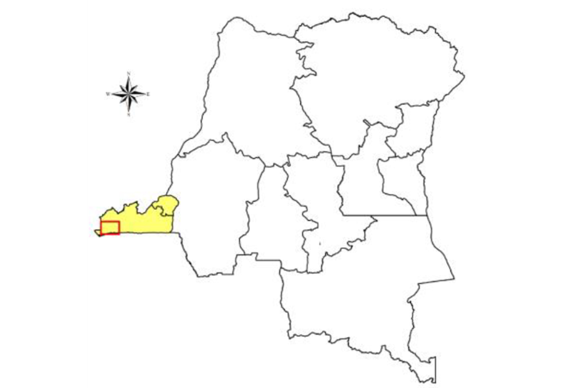 Réalisation des études technique, biophysique et cartographique préalables au développement de l’agroforesterie et au schéma d’aménagement en République Démocratique du Congo